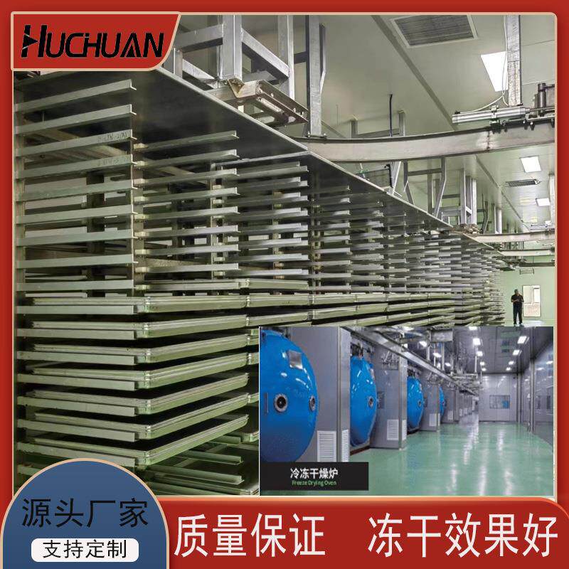 蛋机黄干小鹑冻真空冷冻鹌干燥机小鸡仔冷冻干燥设备互川HTFD2500