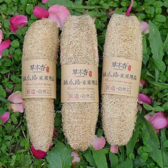 原色丝瓜洗碗泰国小丝瓜海瓜瓤菜瓜百洁布 丝瓜不沾油抹布