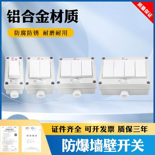 防爆墙壁开关BQK-1K2K3K4K防爆照明开关SW-10单开双开单双联开关