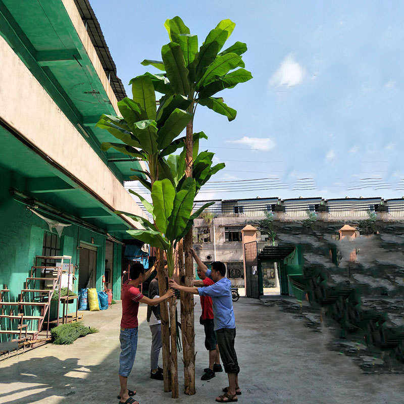 按要求制作仿真芭蕉树 过胶手叶质感办公室商场装饰假绿植盆栽5米,鲜花速递/花卉仿真/绿植园艺,仿真绿植,淘宝优惠券,粉丝福利购,淘宝优惠卷