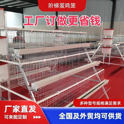 3层4门鸡笼大号养殖厂工厂阶梯型鸡笼热镀锌材质可供外贸