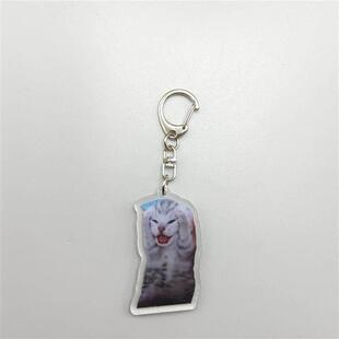 Cat Rambling Huh Confused Memes Keychain Goat Meme
