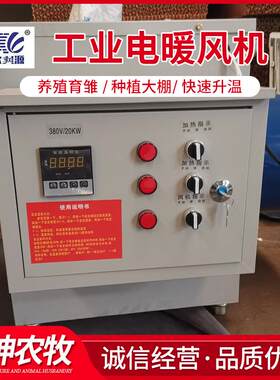 电热风炉厂家直销养殖育雏加热设备大功率电暖风机低噪音点热风机