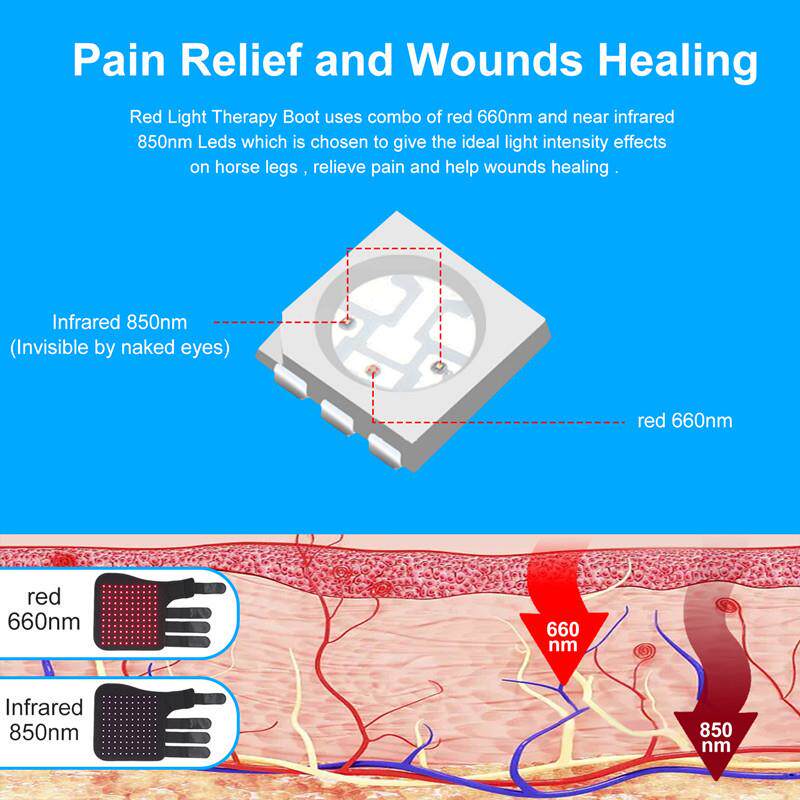 红光红外线宠物运动伤口恢复马腿部便携光疗LED LIGHT THERAPY