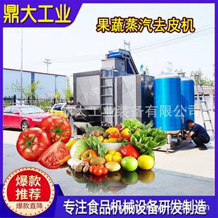 山东全自动黄桃蒸汽去皮机苹果芒果葡萄猕猴桃等果蔬去皮机脱皮机