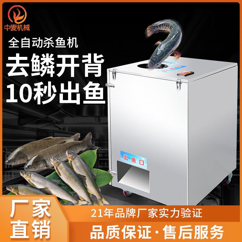 全自动杀鱼机商用去鳞剖腹去内脏水产海鲜工厂酒店厨房杀鱼机机械