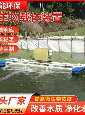 川能CN-WSW-750污水处理黑臭水体固化微生物载体保护物质传递装置
