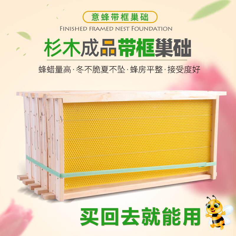 意蜂带框巢础杉木意蜂成品巢框意蜂用巢框上好巢础蜂箱用巢框巢础