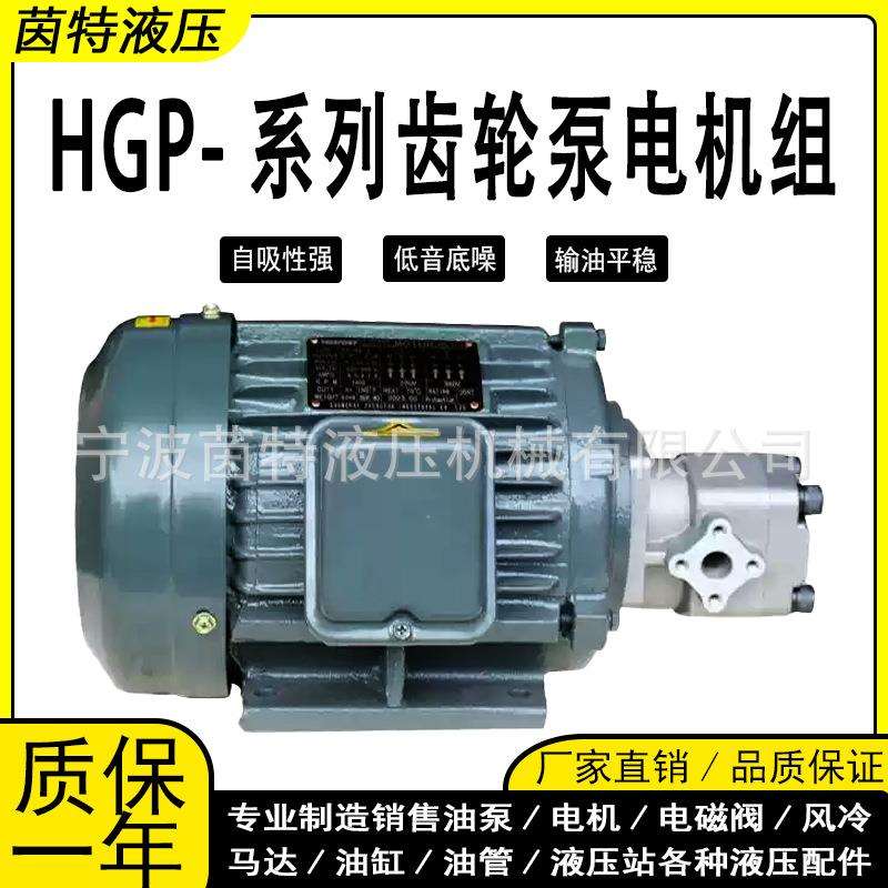 液压油泵电机组1.5KW/0.75KW配HGP-1A/2A高压小型齿轮泵电机总成图片