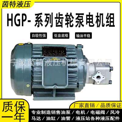 液压油泵电机组1.5KW/0.75KW配HGP-1A/2A高压小型齿轮泵电机总成