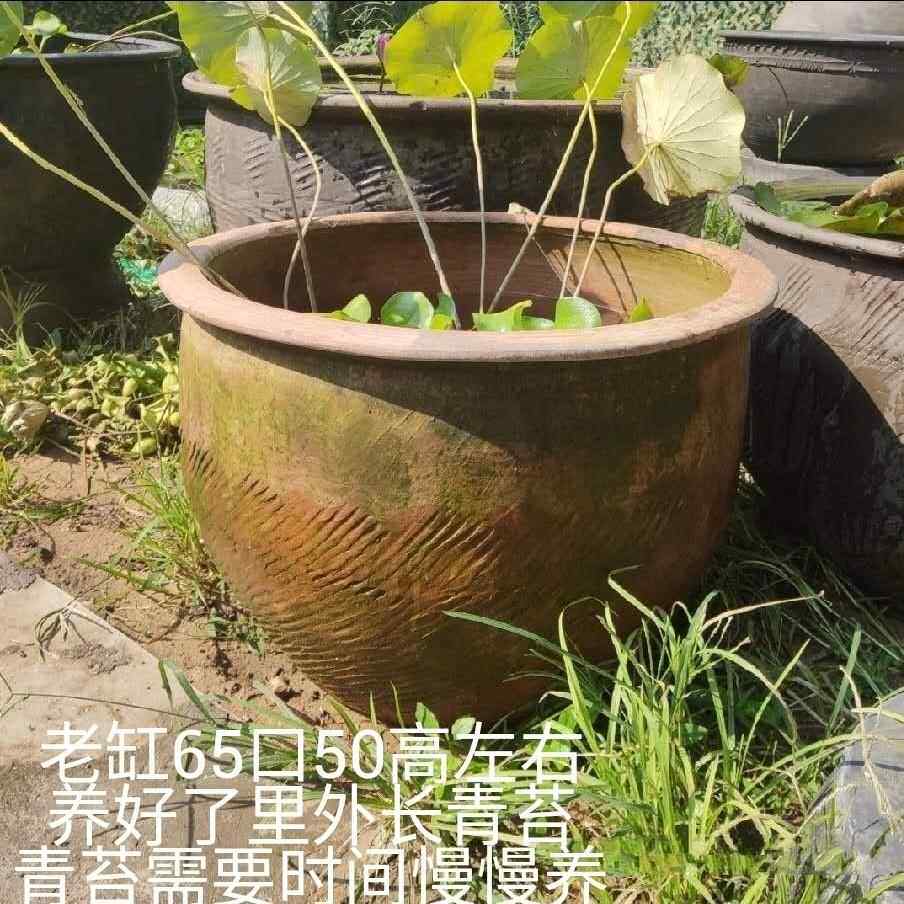 高档包土摆陶鱼邮缸盆养金鱼荷花睡莲京老北黑陶缸造景粗陶庭院流