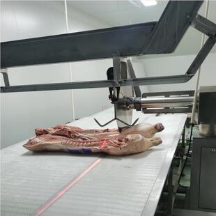 猪分段肉锯冷鲜肉分锯割锯 三段切割锯 低速圆盘HWG源头厂家台式