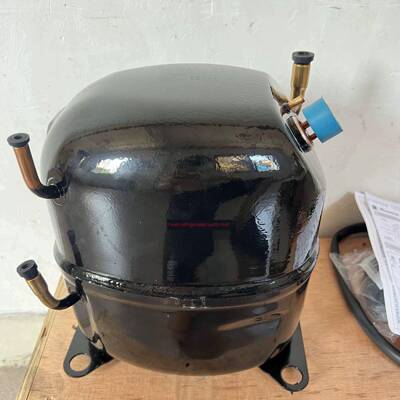 TAJ2464Z TAJ4511Y TAJ4519Z 380V低温冷库制冷适用于泰康压缩机