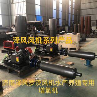 水产养殖罗茨增氧机气量大厂家发货质优价廉章丘三叶罗茨风机