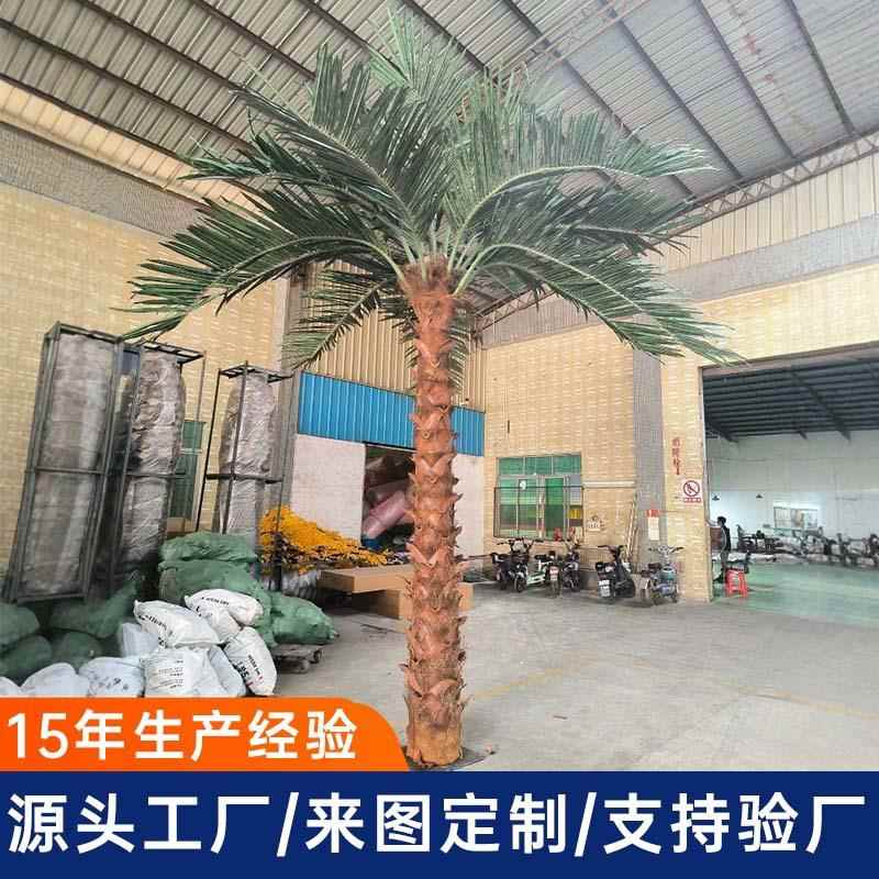 仿真大型人造棕榈树plam tree户外园林工程景观树仿真棕榈树厂家