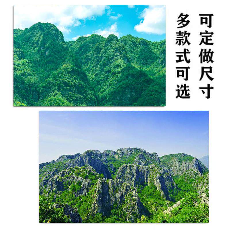 高山群山风景画背有靠山旺宅招财风水画客厅办公室步步高升装饰画