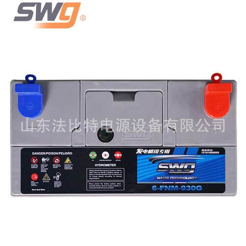 成都思吾高发电组蓄电池6-FNM-930G免维护12V200Ah质保一年swg