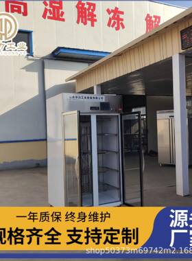 多功能解冻设备牛羊肉缓化柜鸡头鸡碎肉低温高湿解冻柜
