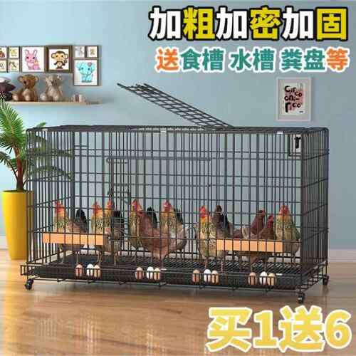 楼顶养鸡笼阳台无臭养鸭兔的铁笼子简易农村养鸡笼不锈钢铁笼