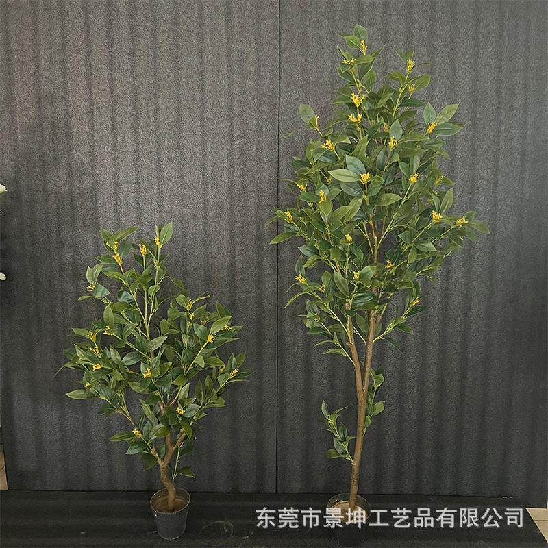 仿真桂花树室内造景塑料盆栽装饰办公室落地摆件庭院景观拍摄道具