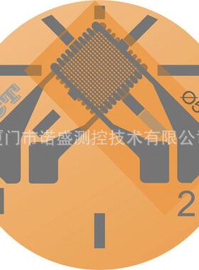 厂家直供半导体传感器应变计CF120-1BC混凝土表面应变计