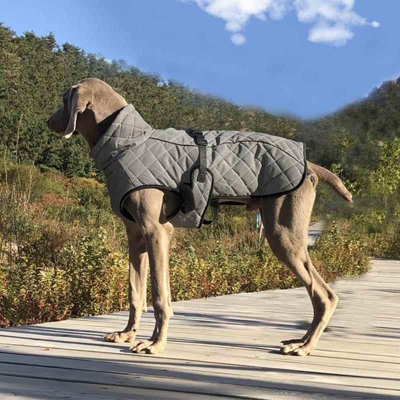 狗狗衣服秋冬款加厚保暖威玛猎犬灵缇惠比特细犬防风水反光冲锋衣