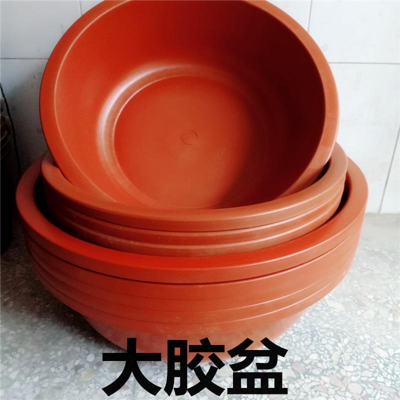 直径5080cm大盆退换不包邮快递验货再收塑料牛筋胶盆耐用