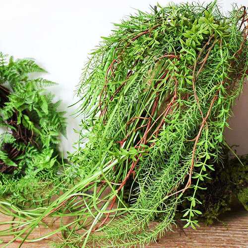 厂家现货假花仿真蕨类绿植波斯草蕨叶植物墙悬挂垂吊装饰壁挂