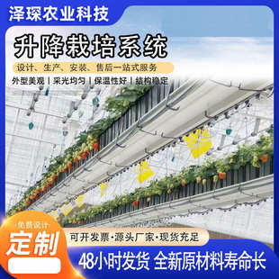 立体种植水培栽培架 无土栽培种植设备 双面墙链条栽培槽立体栽培