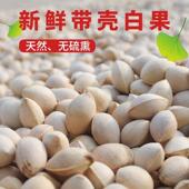 带壳新鲜生银杏果白果仁无漂白银杏果徐州邳州特产