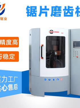 厂家供应 DM100磨齿机全自动数控纯电齿顶齿面磨齿机研磨机