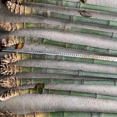 实心竹登山杖高玉拐杖要山毛料包邮手账料