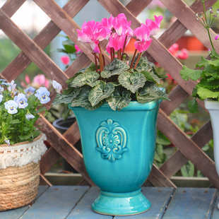 冰裂纹浮雕复古陶瓷彩釉奖杯花盆插花干花可水培花瓶多肉植物花