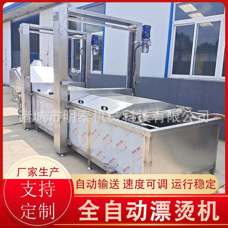 黄金钩提升漂烫机 豆角豇豆全自动漂烫冷却线 黑水虻海鲜蒸煮机