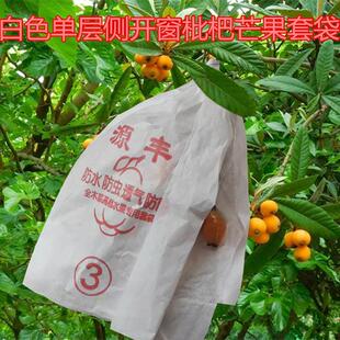 大红袍枇杷金煌芒果套袋专用袋桂七象牙芒白玉黄丰枇杷水果袋防虫