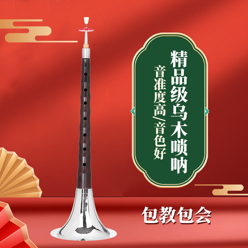 精品乌木全套唢呐乐器初学者D调演奏锁呐儿童大小号喇叭哨片包邮
