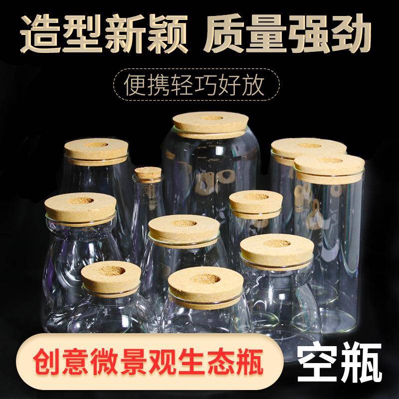 生态瓶diy鱼微景观生态球硅DIY设计花瓶玻璃鱼缸办公桌桌面水族箱