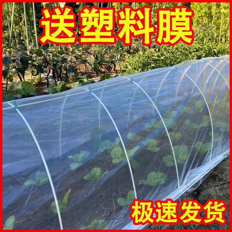 新款秋冬小拱棚农用弯管家用农用工具蔬菜架子保温保暖赠送塑料膜
