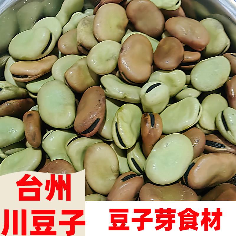 川豆子当年新货杂粮浙江台州温岭本地农家自产干生蚕豆青豆可发芽