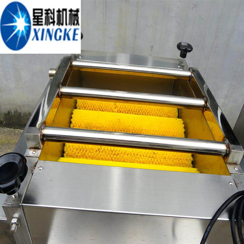 清PFC新鲜叶芭叶毛辊蕉清洗机工厂用粽叶洗机星科粽叶清洗设粽备