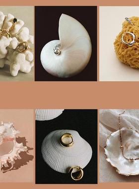 ins天然高级贝壳托盘子拍照道具桌面摆件拍摄影家居收纳装首饰品