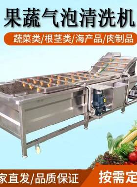 全自动喷淋清洗机生姜压喷淋清洗设备商用菠菜娃娃菜气泡清洗机