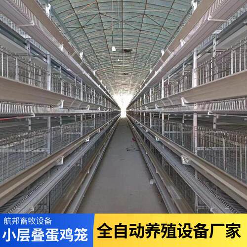小层叠全自动蛋鸡笼定制三层四层热镀锌丝蛋鸡笼全自动化养殖笼具