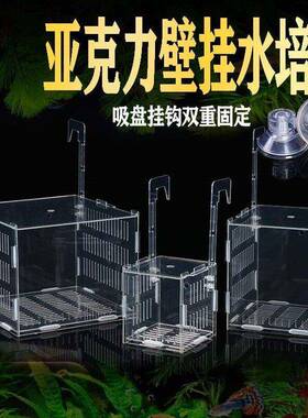 鱼缸水培植物固定架壁挂水培器皿定植篮压克力花盆定植蓝加深水草