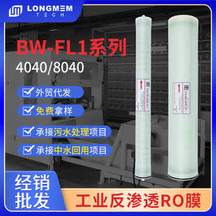 水净化工业反渗透纳滤膜 8040苦咸水4040反渗透RO膜低压纳滤膜
