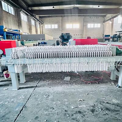 抽水蓄能电站 自动压滤机 筹备期BTM污水 进场交通洞泥水分离清淤