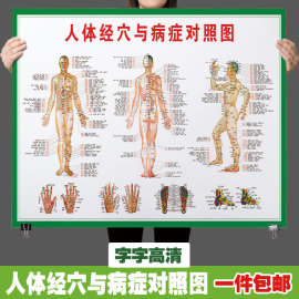 中医养生人体经络穴位图，大挂图全身，高清穴位艾灸推拿背部针灸2132