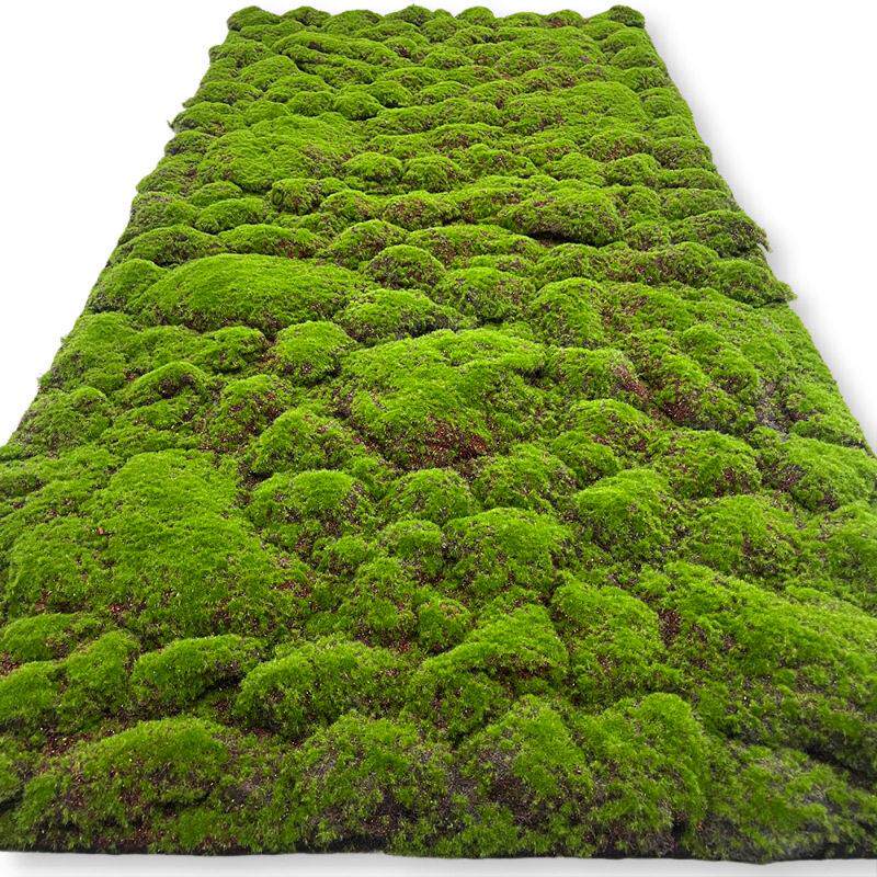 工厂跨境彷真苔藓草皮波浪红底鼓泡苔藓植物室内造景橱窗苔藓草坪