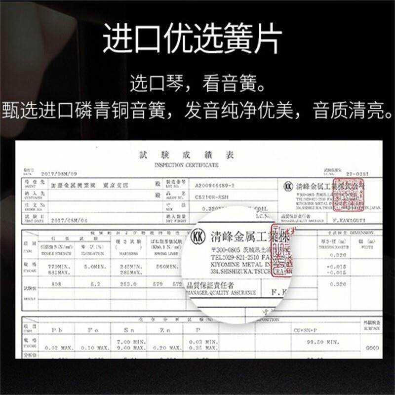 国光全金属铜格版布鲁斯珍藏版口琴10孔C调蓝调成人送礼专业演奏