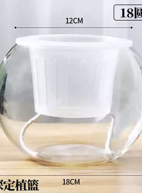 简约培植玻璃玻璃花瓶圆球花瓶